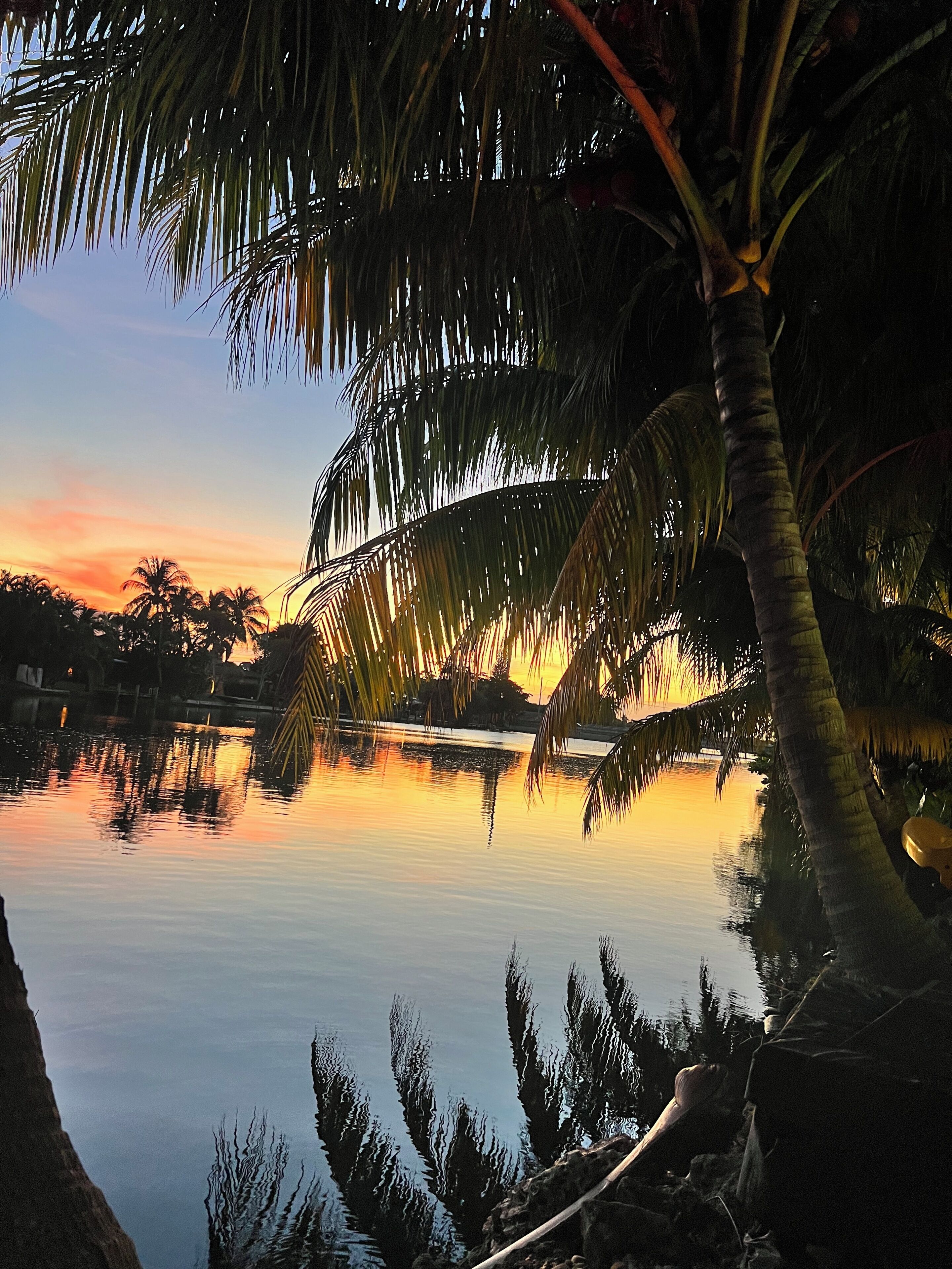 A calm body of water reflecting palm trees and a sunset sky.