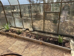 A greenhouse with wooden raised beds, a variety of plants, and a clear view of the outside environment. - Hill County Tiny Home on 5 Acres - near wedding venues (Austin)