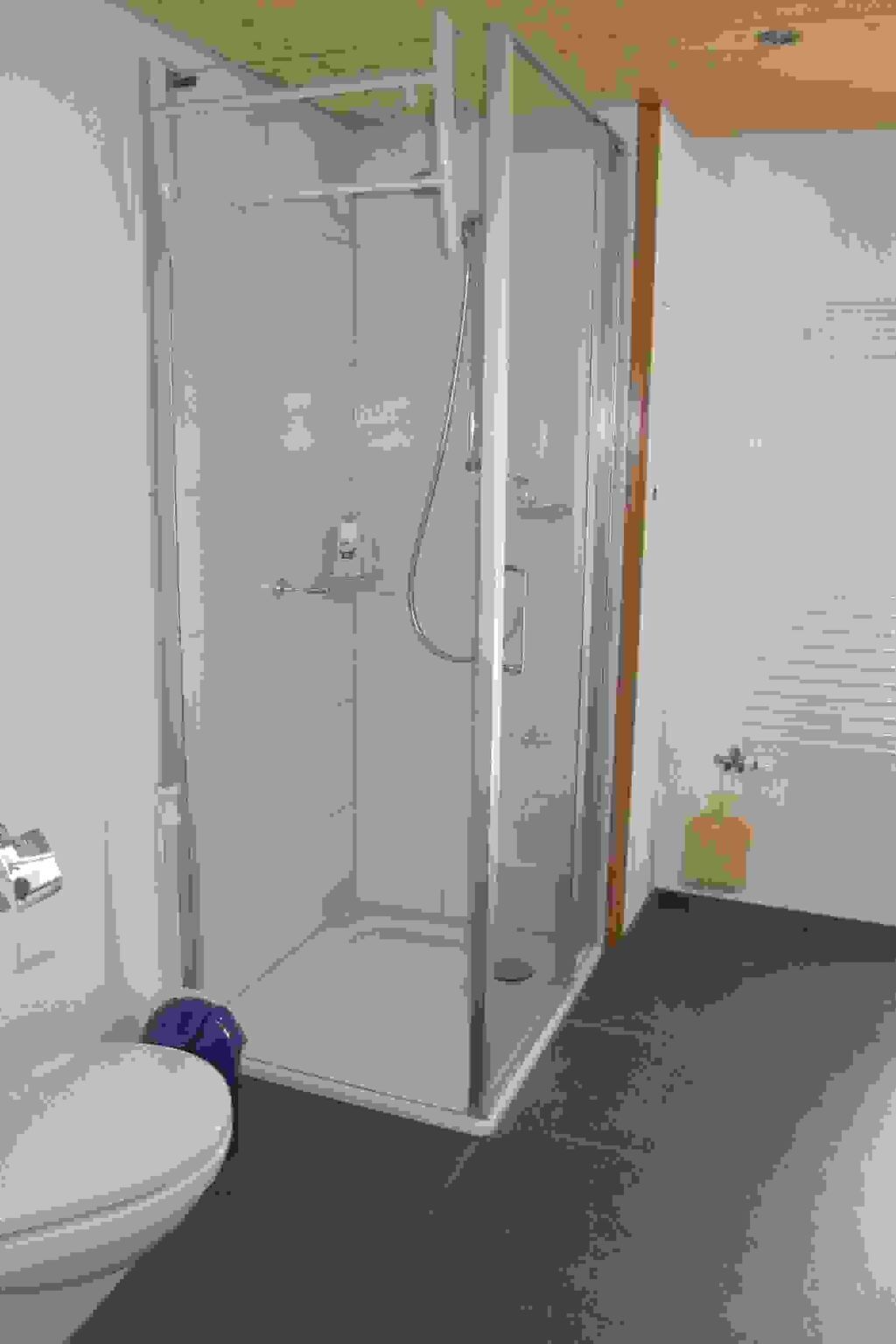 A bathroom with a shower, toilet, and a bottle of shampoo.