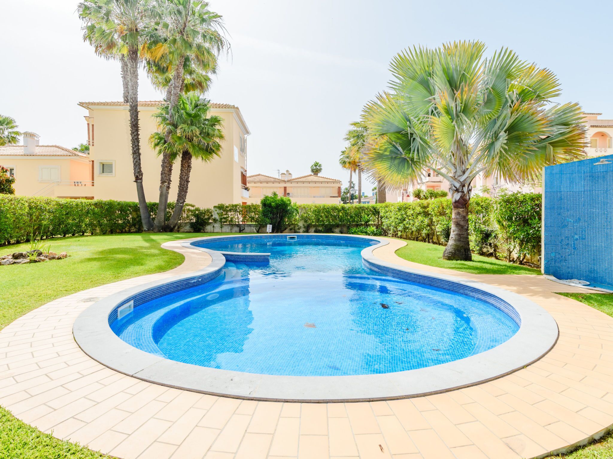A swimming pool with a tiled edge, surrounded by a brick walkway, palm trees, and a hedge.