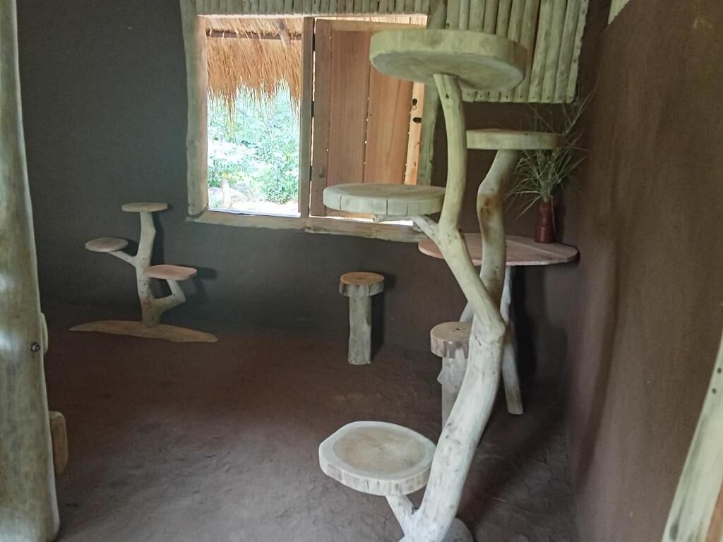 Una habitación con un rascador para gatos, una ventana que da a zonas verdes y una mesita.
