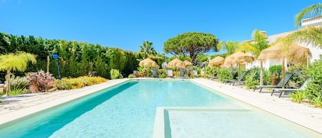 A clear blue swimming pool with a diving board, surrounded by lush greenery and palm trees.
