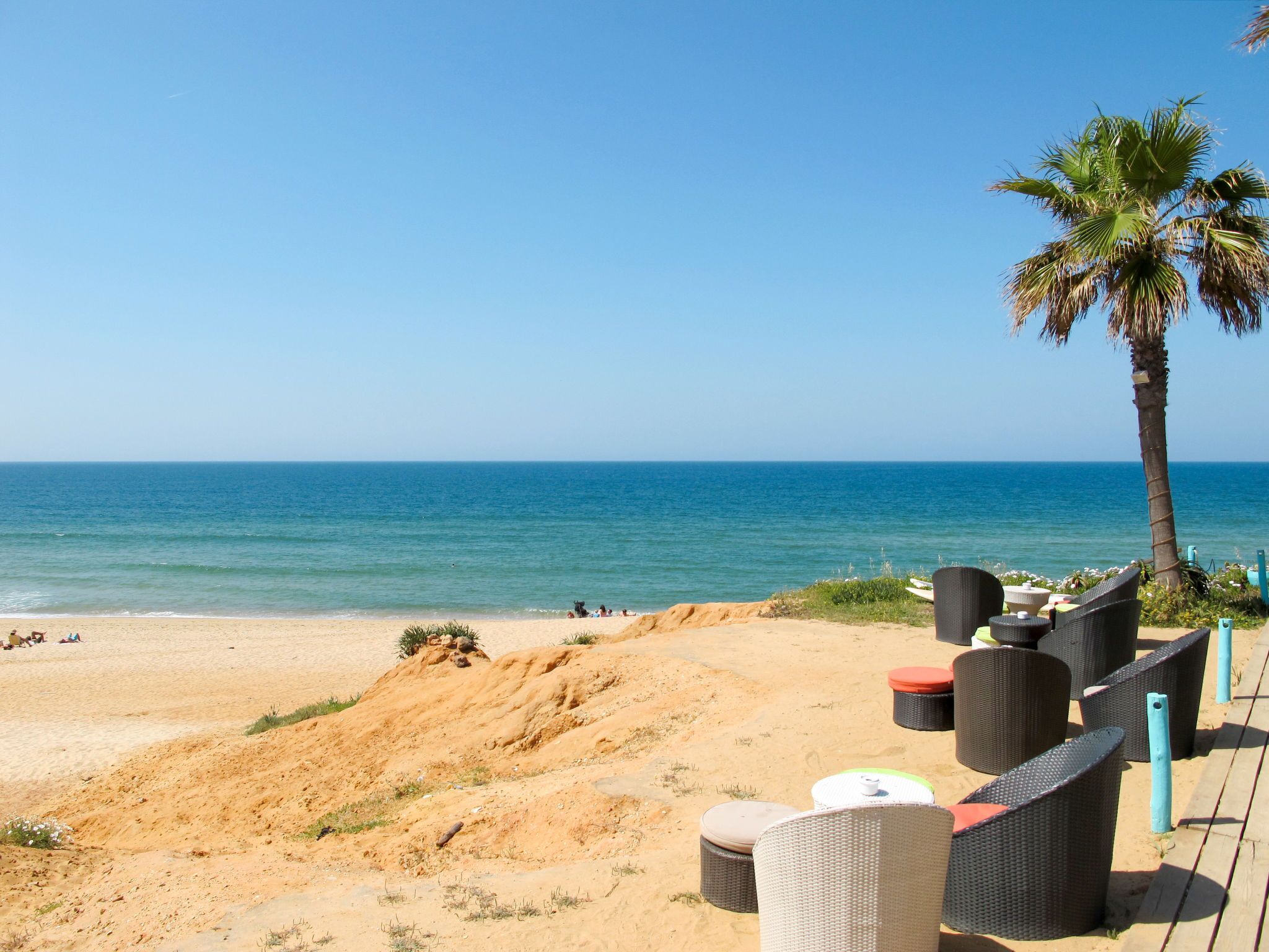 Un espace de détente aménagé sur la plage, avec des meubles en osier et un palmier.