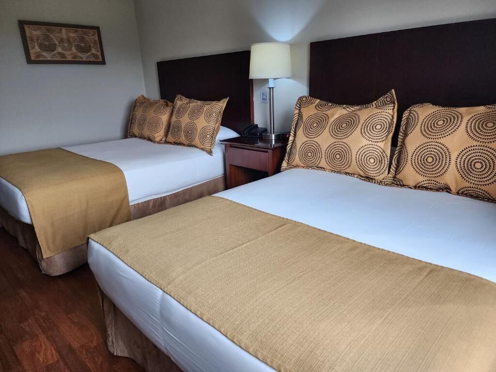 Deux lits avec des têtes de lit et des oreillers assortis, une table de chevet avec une lampe et un tableau encadré au mur.