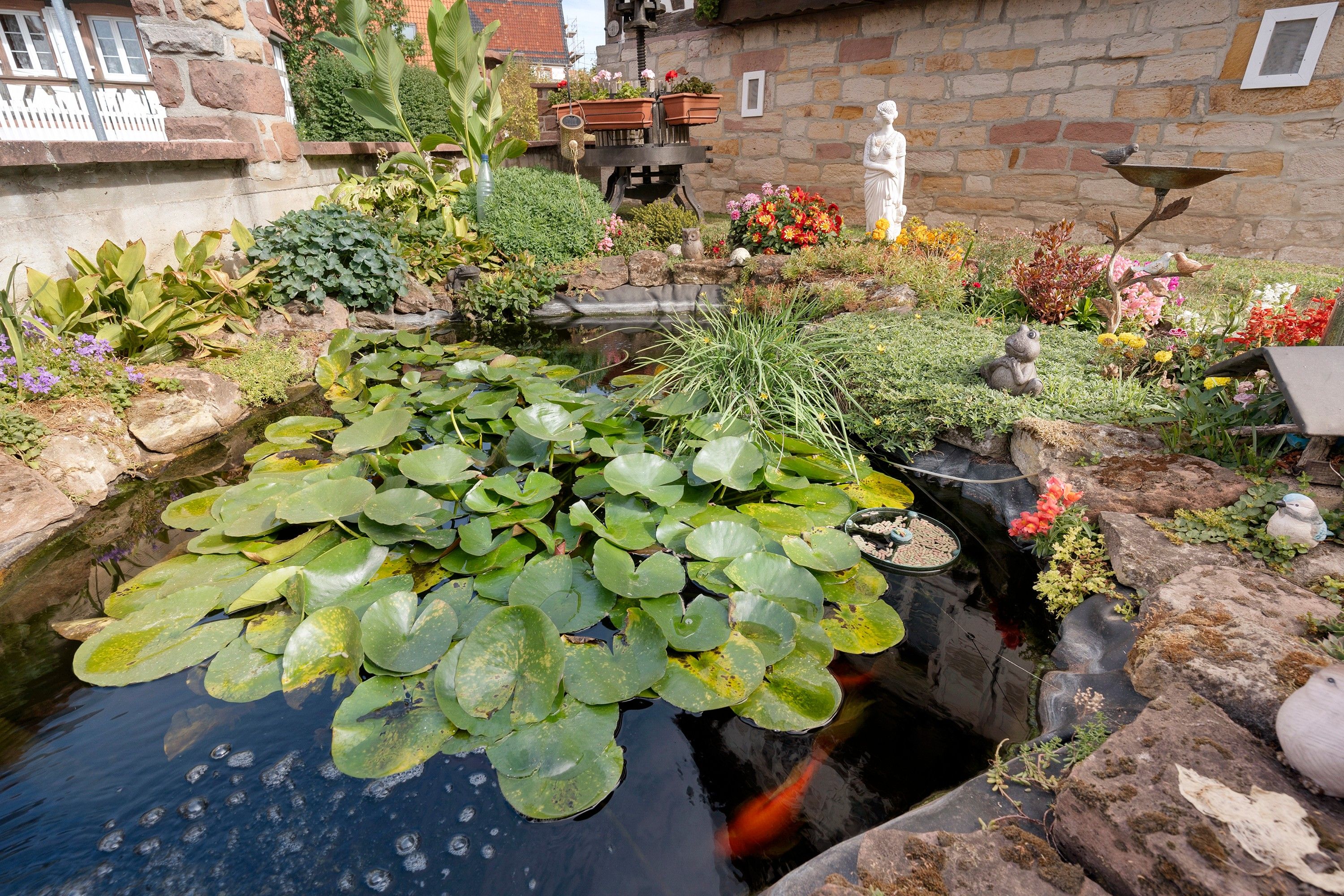 A garden with a pond surrounded by various plants and flowers.