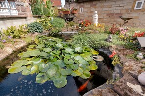 Un jardín con un estanque rodeado de diversas plantas y flores.