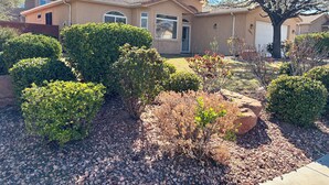 A residential house with a well-maintained garden, including various shrubs and a tree. - Comfort & Convenience close to Zion, Sand Hollow, Quail Creek & Gooseberry Mesa! (Hurricane)