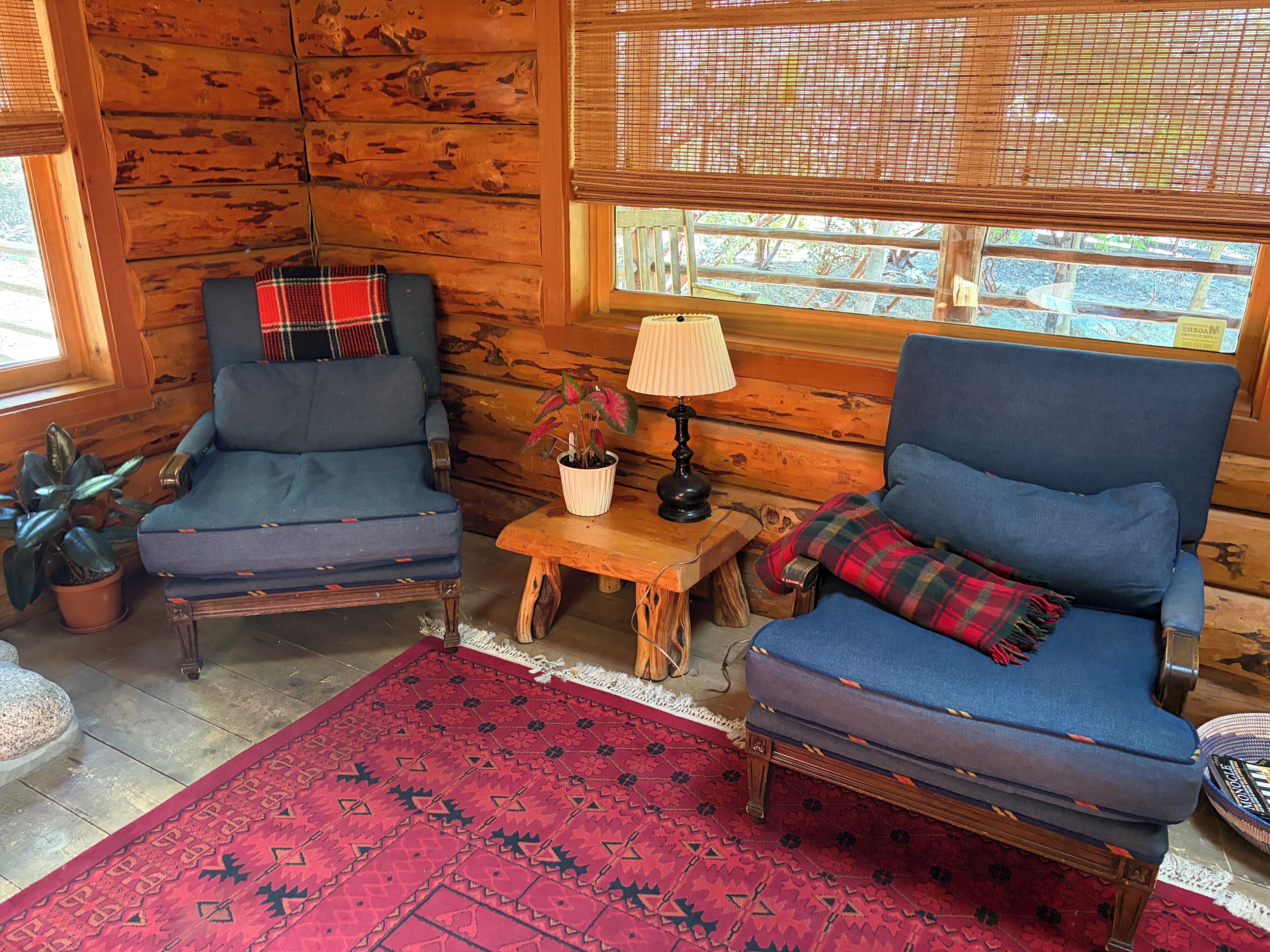 A cozy cabin interior with two blue armchairs, a red patterned rug, a small wooden table with a lamp, and a potted plant.