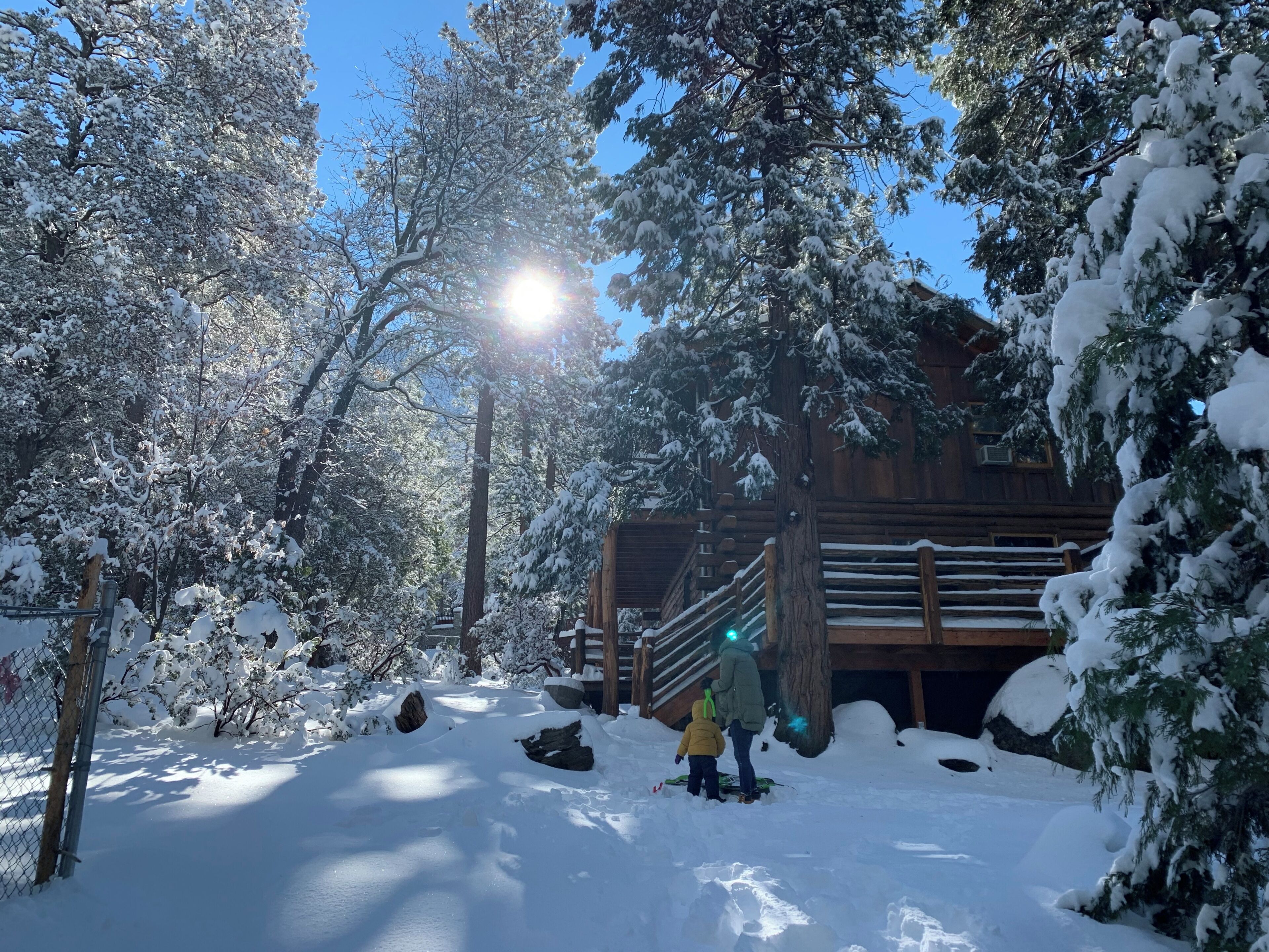 A snow-covered wooden cabin with a staircase leading to the entrance, surrounded by snow-laden trees.