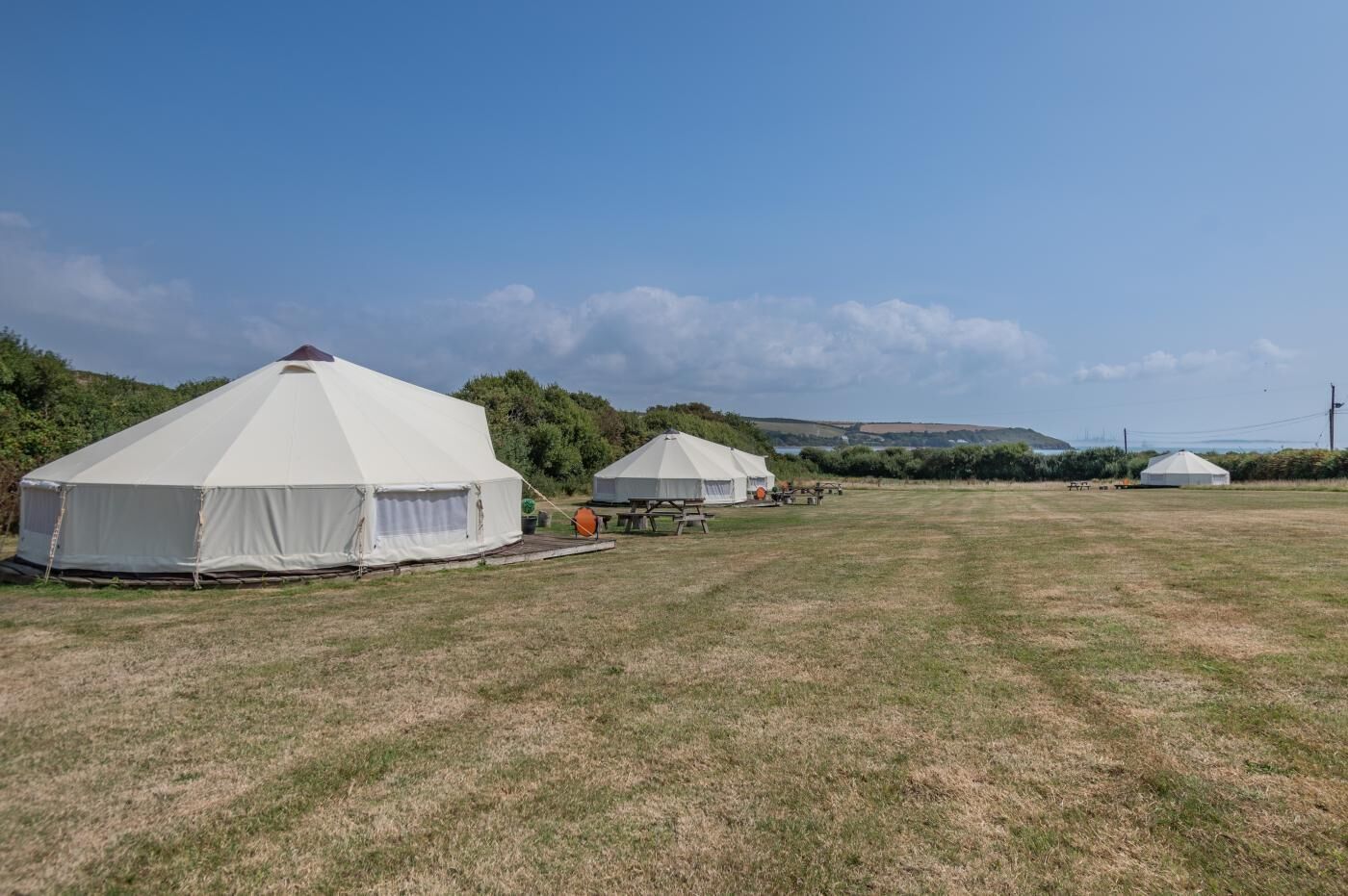 Yurts in a grassy field with picnic tables and a clear sky.