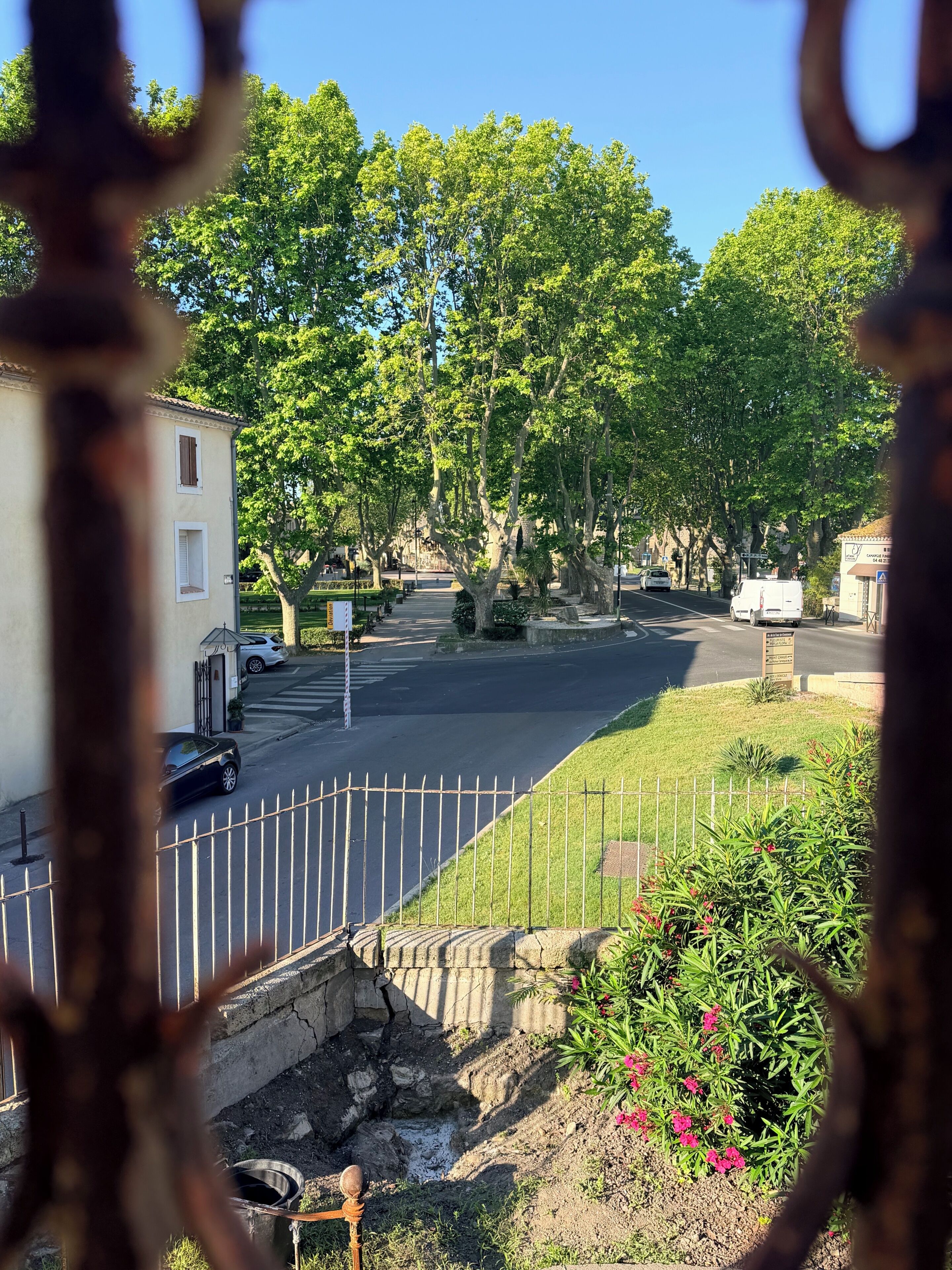 A street view with a building on the left, a road with parked cars, and trees lining the street.