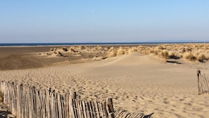 Una playa arenosa con dunas y una valla de madera al frente.