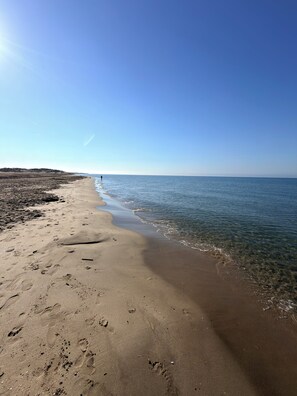 A beach with clear skies, a sandy shore, and footprints. - Le Palmier Aigues-Mortes Petite Camargue (Aigues-Mortes)