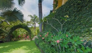 A lush garden with a variety of plants and a palm tree. - Casa Kukana- 3 bedroom Moroccan Bungalow (Sayulita)