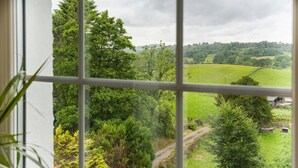 Uitzicht door een raam op een landelijk landschap, met een groen veld, bomen en een gebouw in de verte.