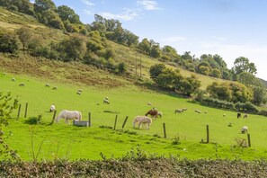 A green field with a fence, trees, and a hill in the background. - 3 Bed in Crickhowell (oc-tyobr) (Cwmdu)