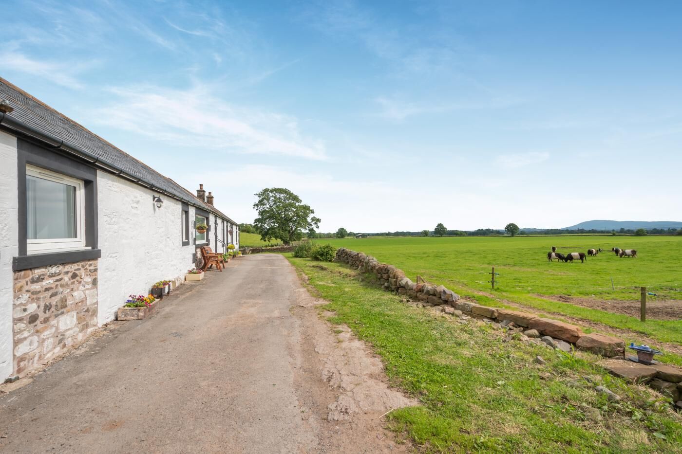 A rural property with a stone house, a paved driveway, and a field with grazing animals.