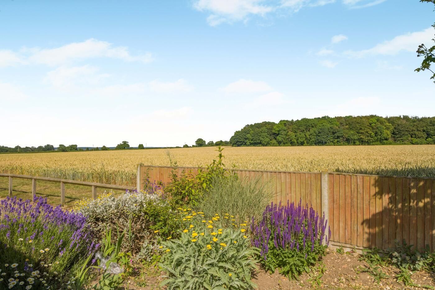 A rural landscape with a field of crops, a wooden fence, and a variety of flowering plants.
