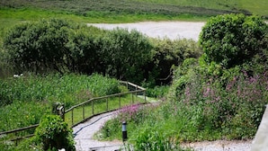 Ein Kiesweg führt zu einer Holzbrücke über ein Gewässer, umgeben von üppigem Grün und Wildblumen.