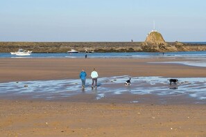 A beach with people and dogs, boats in the water, and a rocky outcrop in the background. - 2 Bed in Bude (oc-b588786) (Bude)