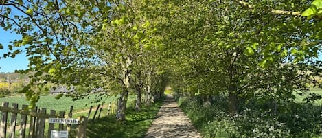 Un sentier étroit bordé d’arbres, avec une clôture en bois d’un côté et un panneau indiquant qu’il s’agit d’un chemin privé.