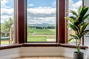 Ein Zimmer mit großem Fenster, einem Holzstuhl und einem Blumentopf.