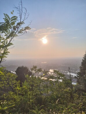 Paisagem natural com vista para uma cidade, rodeada por vegetação.
