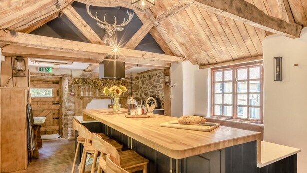 A rustic kitchen with a wooden ceiling, a deer head decoration, and a bar area with stools. - 5 Bed in Bishops Lydeard (oc-b45427) (Triscombe)