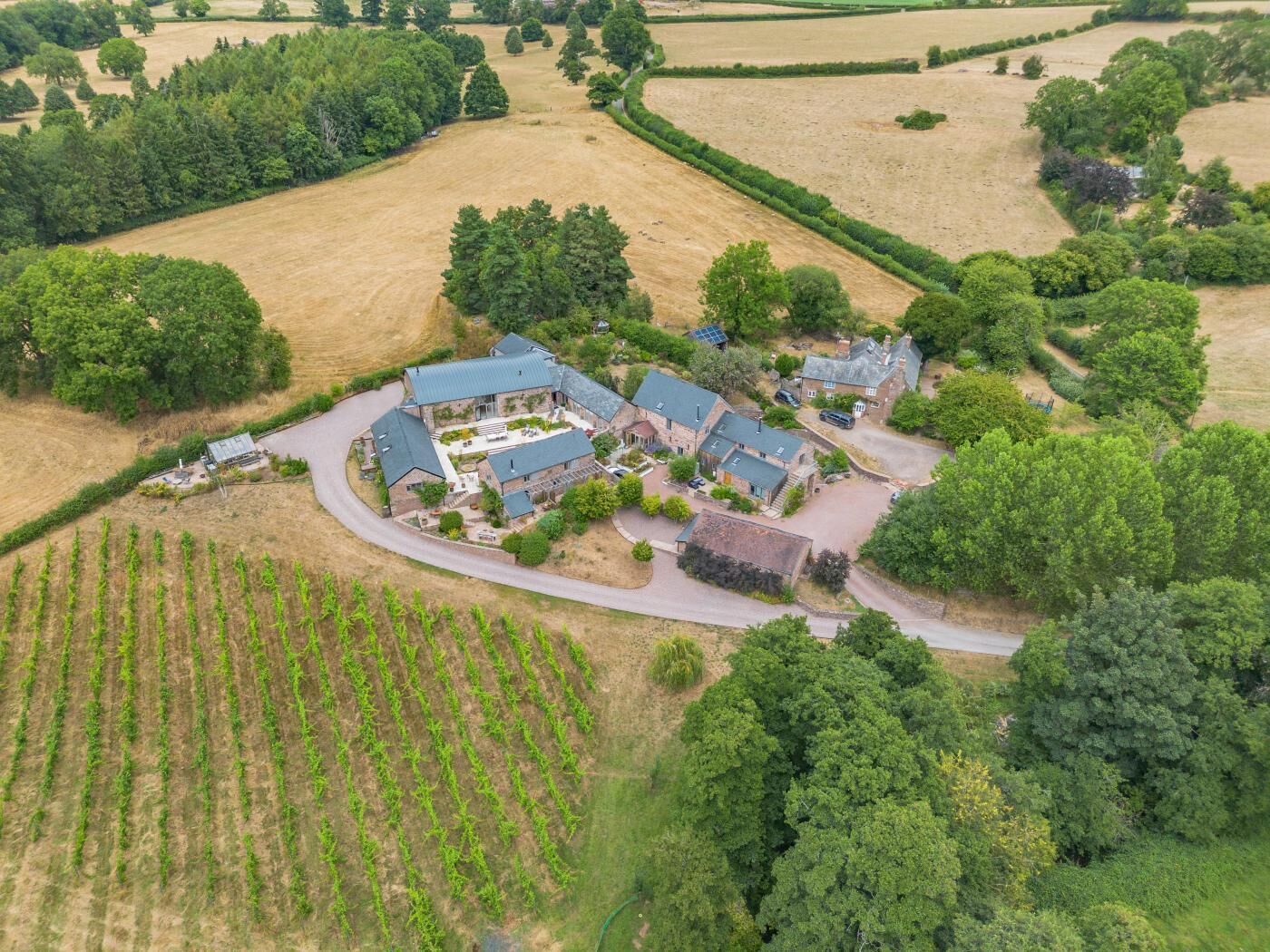 An aerial view of a rural property with multiple buildings, a vineyard, and surrounding fields.