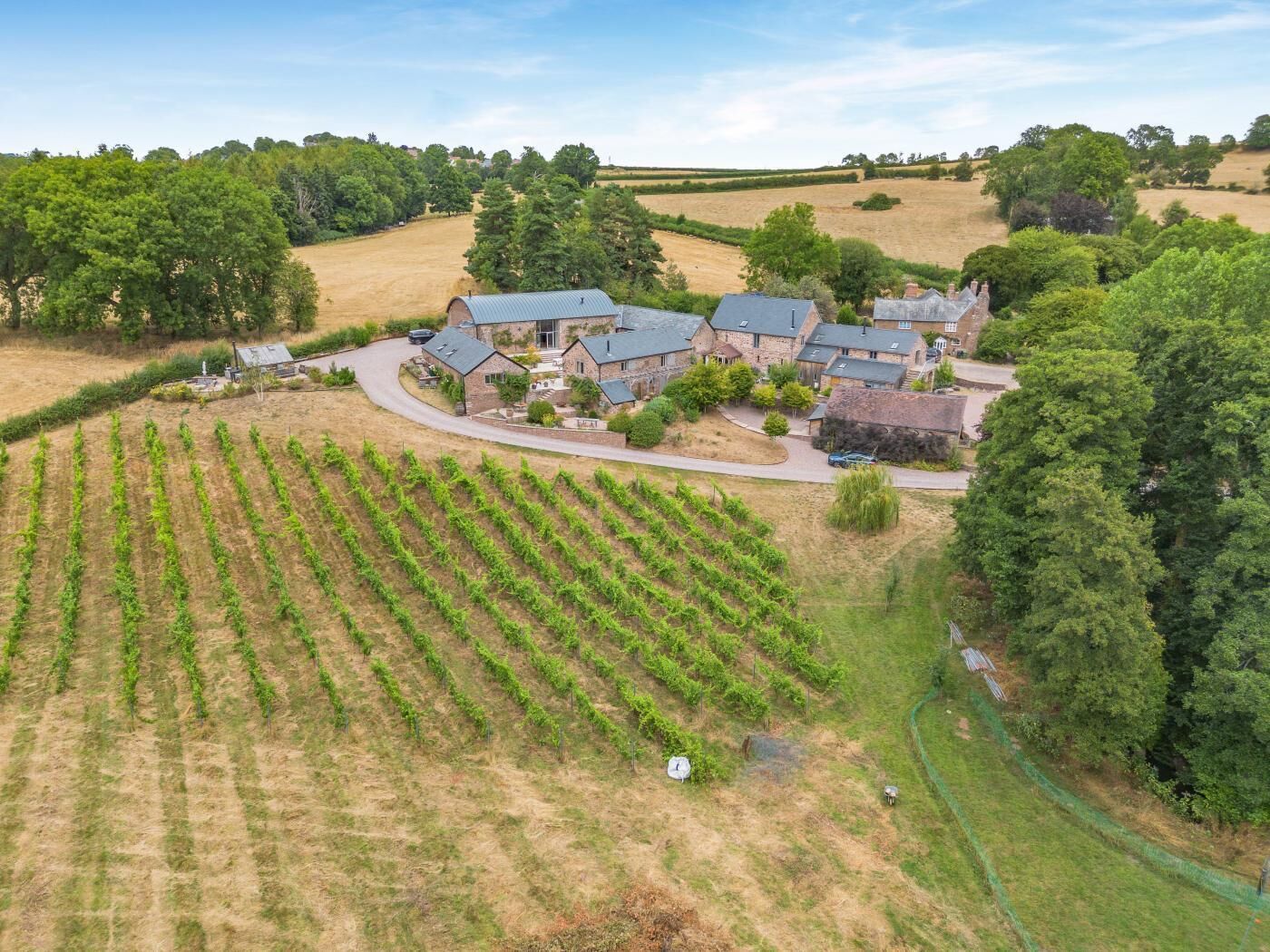 Un vignoble avec des rangées de vignes, un bâtiment en pierre doté d’une allée incurvée et un grand arbre sur la droite.