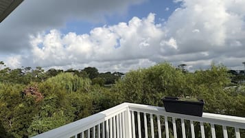 A balcony with a railing, a potted plant, and a view of trees and a cloudy sky.
