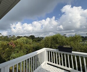 A balcony with a railing, a potted plant, and a view of trees and a cloudy sky.