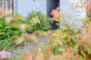 Ein Garten mit verschiedenen Pflanzen und Blumen vor einem weißen Gebäude mit einer schwarzen Tür.