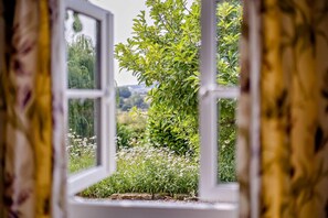 Ein Fenster mit Blick auf einen üppigen Garten und einen Baum.