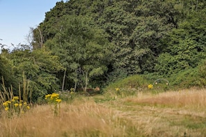 A natural landscape with a grassy foreground, a variety of trees, and a dense forest in the background. - 3 Bed in Cradley (oc-o45726) (Cradley and Storridge)