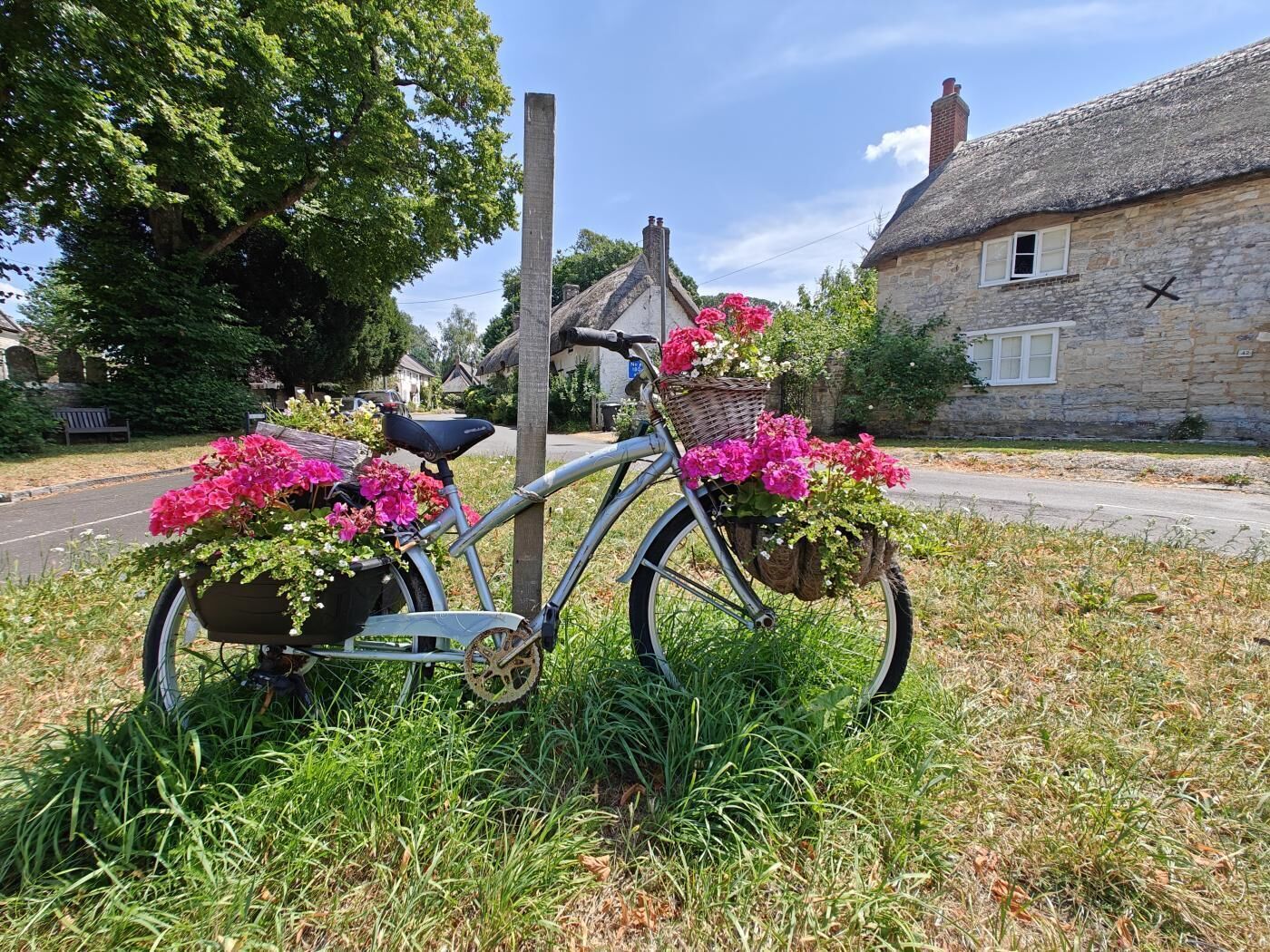 Una bicicleta con cestas de flores estacionada sobre césped al lado de una carretera, con una casa de piedra al fondo.