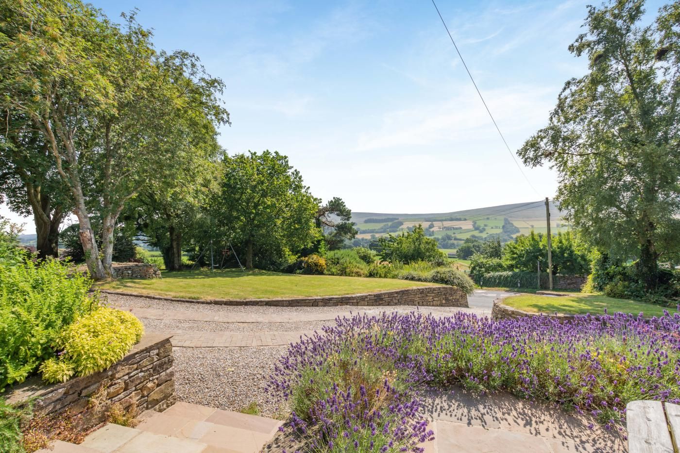 A rural landscape with a stone pathway, lavender bushes, and a grassy area with trees.