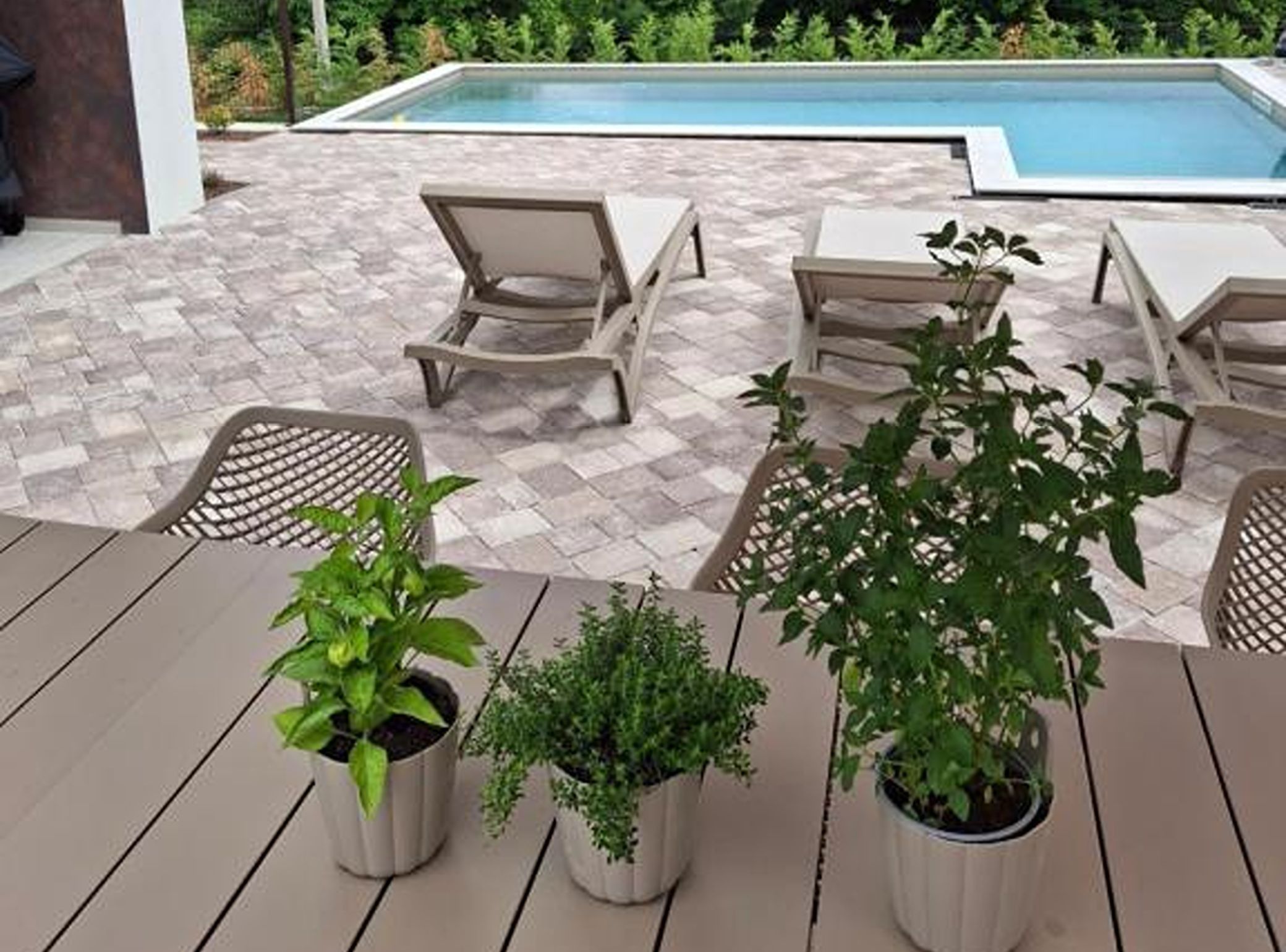 A poolside area with lounge chairs and potted plants.
