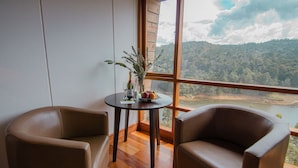 Quarto com duas poltronas de couro, uma mesa redonda pequena com um vaso de plantas e vista para uma paisagem arborizada através de uma grande janela.