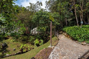 A stone pathway leading through a lush garden with various plants and trees. - Hotel Piedras Blancas (Guarne)