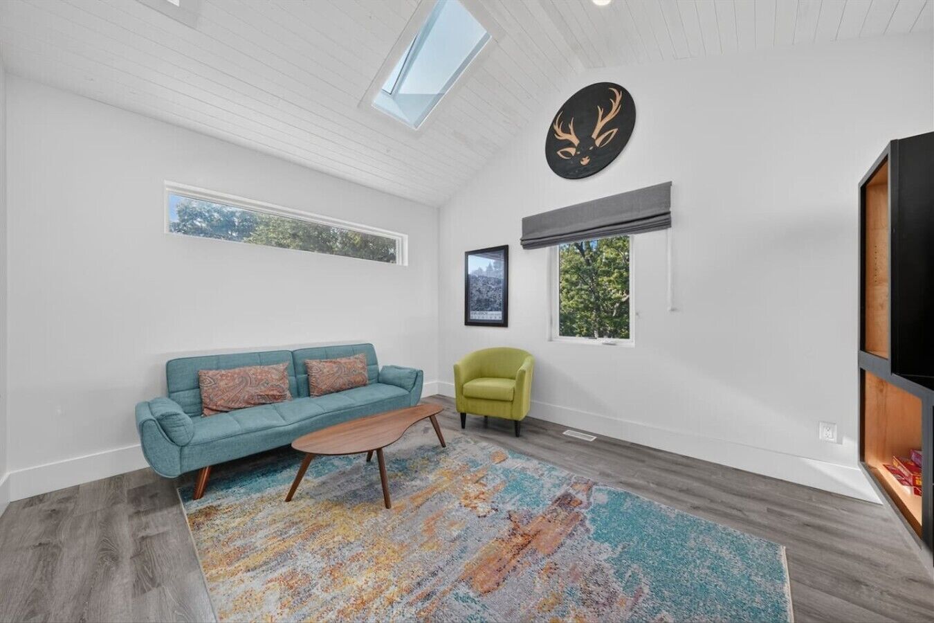 Una sala de estar moderna con un sofá, un sillón y un tapete grande.