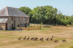 A stone building with a sloped roof, surrounded by a fenced area with a grassy field and trees in the background. - 2 Bed in St. Giles (oc-c45183) (Saint Giles in the Wood)