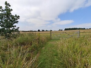 A rural landscape with a wooden gate, grassy field, and a tree. - 2 Bed in Earsdon (oc-s45692) (Earsdon)