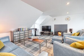 A modern living room with a loft-style ceiling, a fireplace, a television, and a bookshelf. - 3 Bed in Port William (oc-s45456) (Port William)