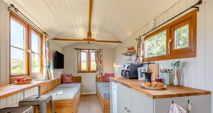 1 Bed in Washfield (oc-s45537)