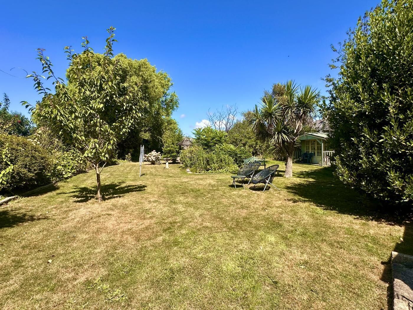 A backyard with a lawn, a small shed, and a tree.