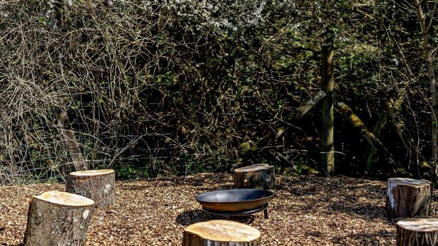 A natural outdoor setting with wooden stumps arranged in a circle, surrounded by mulch and dense foliage. - 2 Bed in Brighton (oc-80378) (Poynings)