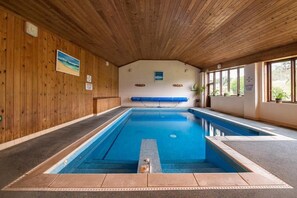 Une piscine intérieure avec des murs en bois, un banc et des plantes en pot.