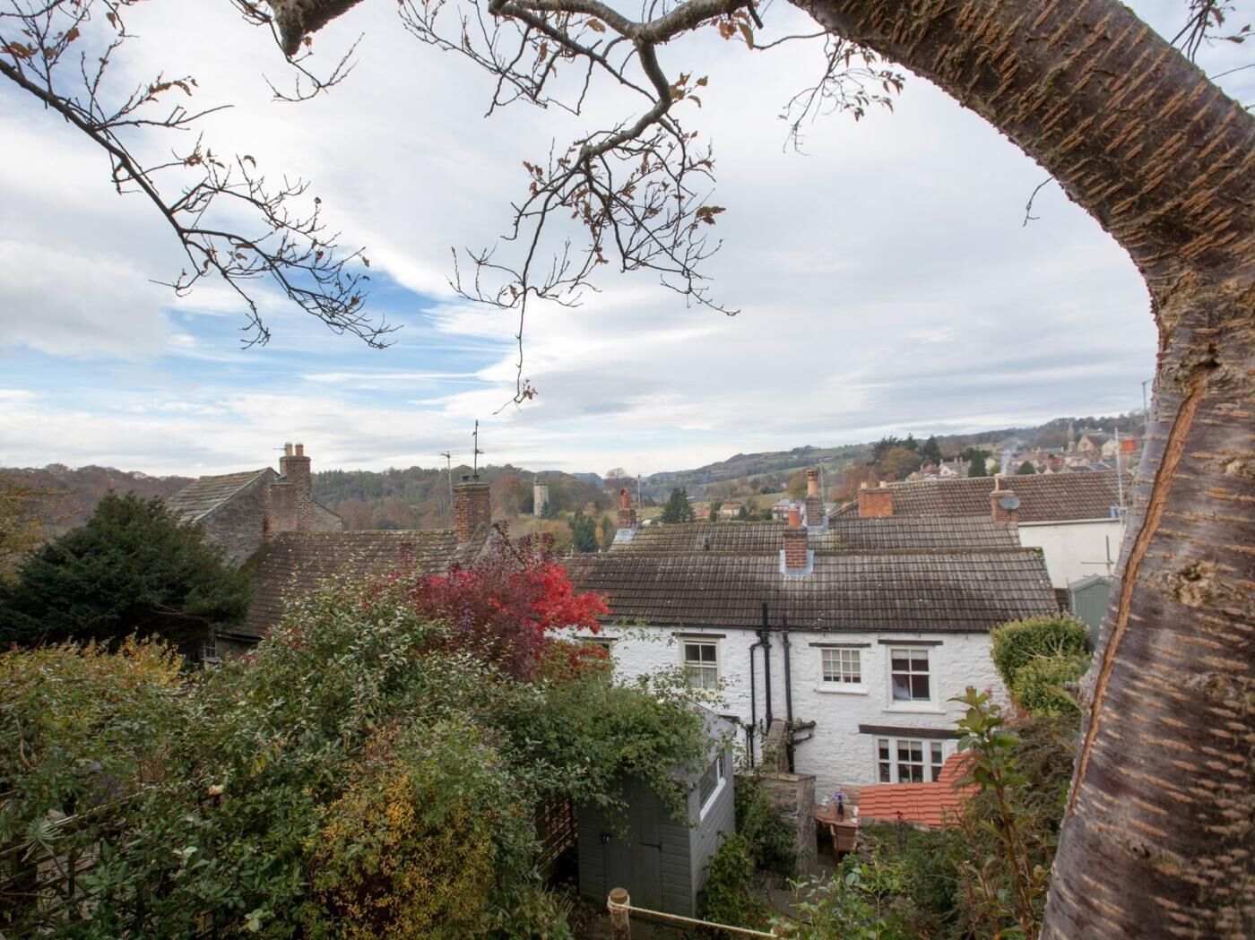 Un quartier résidentiel avec des maisons, un arbre et une vue sur le paysage environnant.