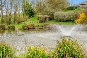 A pond with a water fountain, surrounded by greenery and a wooden structure. - 1 Bed in Milton Abbas (oc-o35015) (Milton Abbas)